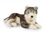 Pluchen huskyhond liggend 60 cm ECO‑FRIENDLY van RAPPA