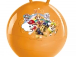 Balle sautante Paw Patrol 50 cm