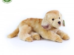 Chien en peluche Golden Retriever ECO-FRIENDLY