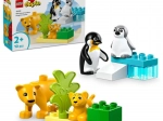 LEGO DUPLO wilde dierenfamilies: pinguïns en leeuwen