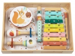 Musical Instrument Set for Kids Forest Animals