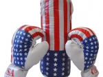 Punching Bag and Gloves