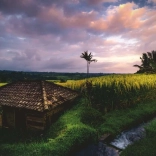 Puzzel Rijstvelden van Bali 500 stukjes