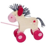 Cheval à tirer Lilia sur une corde