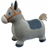 Springezel voor kinderen met opberghoes en pompje