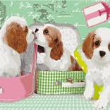 Schilder het! Schilderen op nummer: Schattige hondjes