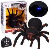 RC remote-controlled tarantula pilot RC0251