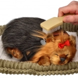 Perfect Petzzz snoring Yorkshire Terrier puppy