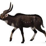 Figurine de Niala des montagnes