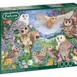Puzzel FALCON uilen in het bos, 1000 stukjes
