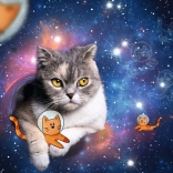 Puzzle Chat dans l’espace 1500 pièces