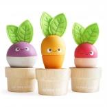 Pots de fleurs en bois avec légumes LE TOY VAN