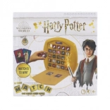 Logic Game Match Harry Potter – Crazy Cubes