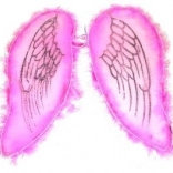 Rosa Flügel für Engel und Fee