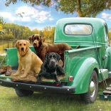 Cobble Hill Puzzel Laten We Gaan Vissen 500 Stukken