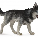 Collecta Siberian Husky – figurine