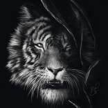 Schmidt Puzzle Wildheit des Tigers – Verkörperung der Freiheit 1000 Teile