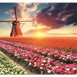 Puzzel Land van tulpen 1500 stukjes van EDUCA