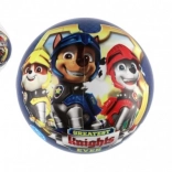 Bal Paw Patrol 23 cm blauw in net