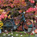 Puzzel Herfstmagie 1000 stukjes PIATNIK