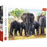 Puzzle 1000 pièces – éléphants africains TREFL