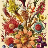 Puzzel Bloemen Sprookjesboeket 1000 Stukjes