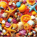 Puzzle Schelpen 1000 stukjes EDUCA