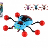 Spin Kruipend Op Glas