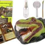 Educational Kit Excavations DINOSAUR TYRANNOSAURUS