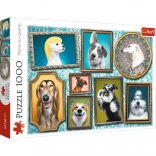 Puzzle 1000 pièces – chiens joyeux, galerie canine