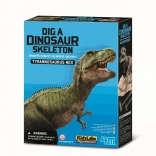 Dinosaurus-skelet opgraven T-Rex – educatieve set