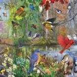 Puzzel Cobble Hill vogels in de seizoenen 1000 stukjes