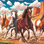 Puzzel Wilde paarden in de vallei 1000 stukjes