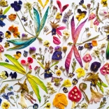 Puzzle Fairies and Dragonflies 1000 Pieces