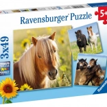 Ravensburger puzzel lieve paarden 3×49 stukjes