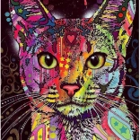 Puzzel 2000 stukjes Abessijnse kat