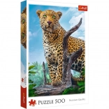 Puzzle 500 pièces - Léopard sauvage