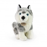 Pluchen husky 30 cm Milieuvriendelijk