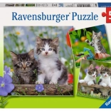 Ravensburger puzzel kittens 3×49 stukjes