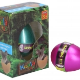 Groeidend Ei Koala 6,5 cm