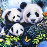 Puzzel Pandafamilie 1000 stukjes
