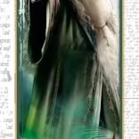 Puzzel Harry Potter Dumbledore 300 stukjes