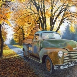 COBBLE HILL Freudige Fahrt – Puzzle mit 500 Teilen