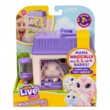 Little Live Pets lapins interactifs Mama Surprise avec surprise