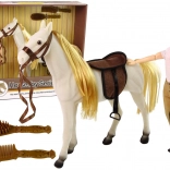 Rijpop met wit paard