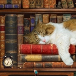 Puzzle Katzenschläfchen XL 500 Teile Eurographics