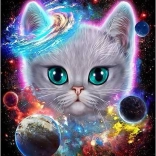 Diamond Painting Space Kitten 30 × 40 cm