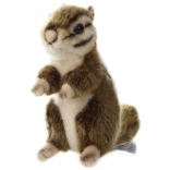 Remblokken voor vooras