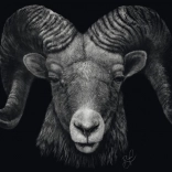 Puzzle Dominanz Widder: Verkörperung des Feuers 1000 Teile SCHMIDT