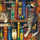 Puzzle 1000 Teile „Frederick Gramotný“ von SCHMIDT